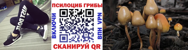 Галлюциногенные грибы ЛСД  Купить закладки  Котельнич 